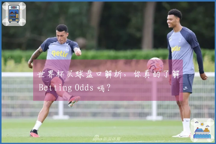 世界杯买球盘口解析，你真的了解 Betting Odds 吗？