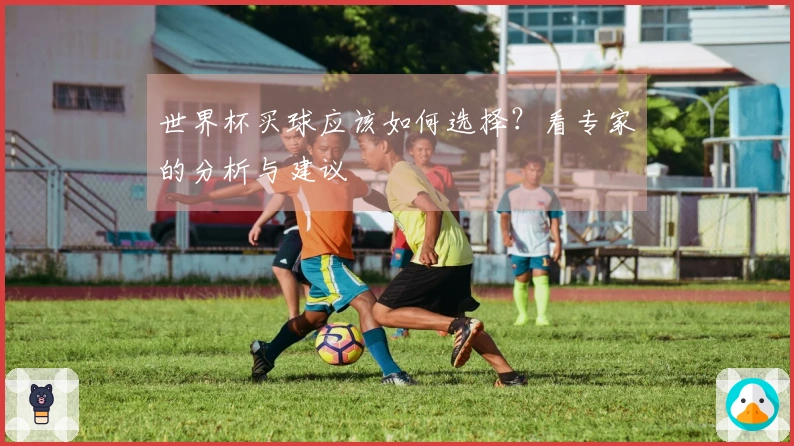 世界杯买球应该如何选择？看专家的分析与建议