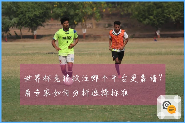 世界杯竞猜投注哪个平台更靠谱？看专家如何分析选择标准