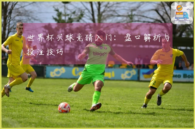 世界杯买球竞猜入门：盘口解析与投注技巧