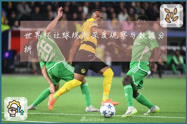 世界杯让球规则深度观察与数据分析