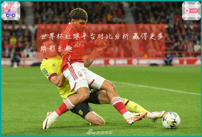 世界杯让球平台对比分析 赢得更多购彩乐趣
